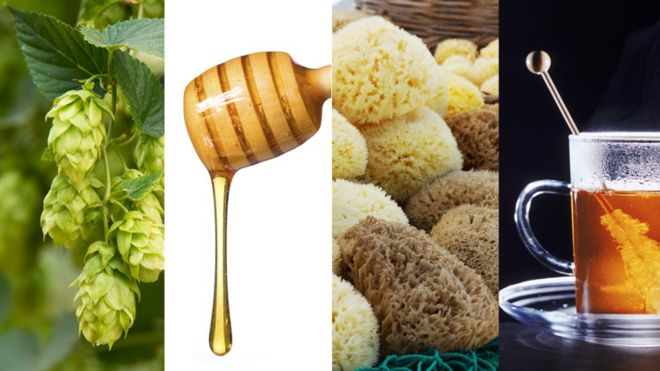 Natural remedies: Can honey really help cure a cold? - BBC Science
