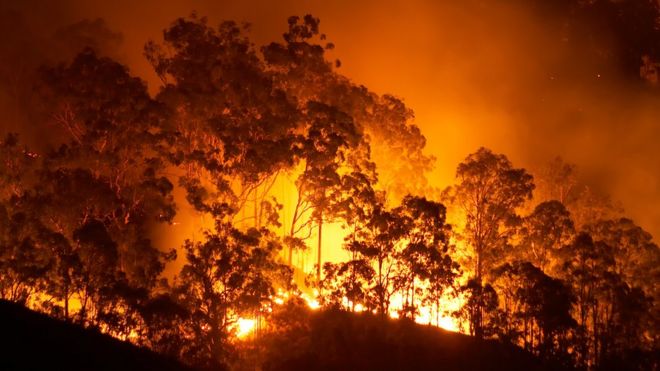 Incendio forestal