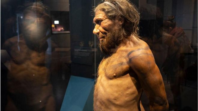 Una representación de un hombre neandertal