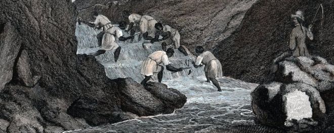 «Способ стирки золота в бразильских горах», 1814. Негритянские рабы, моющие золото аллювиальных, под присмотром мастера-рабыни, размахивающего кнутом.