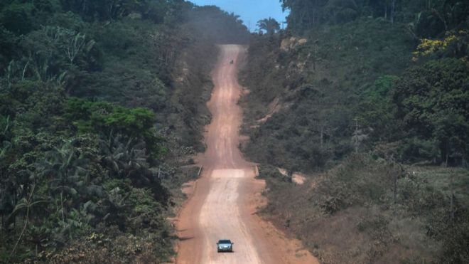 Road through the rainforest
