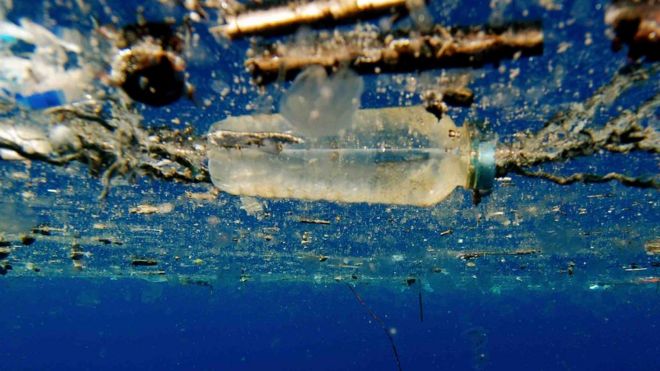 A plastic bottle floating in sea water