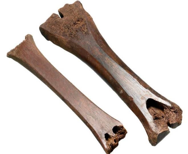 Средневековые животные кость коньки