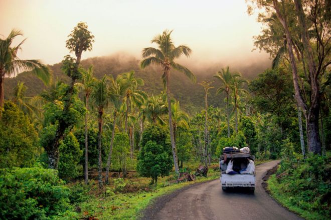 Покрытая джунглями горная местность острова Пацио Анжуан, Коморские острова