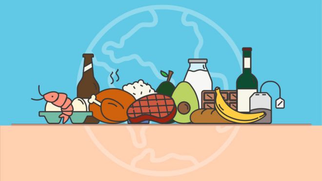 Illustration for calculator on environmental impact of different foods