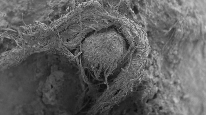 Handout photo issued by M-H Moncel/Histoire Naturelle de l'Homme Préhistorique showing a cord fragment discovered at the Abri du Maras archaeological site in France taken using digital microscopy