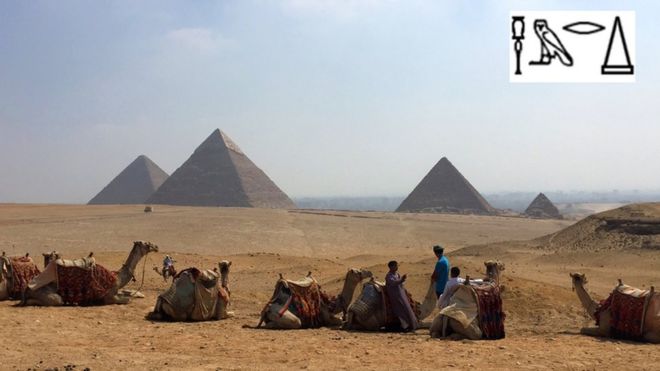 Верблюды в передней части пирамид Гизы