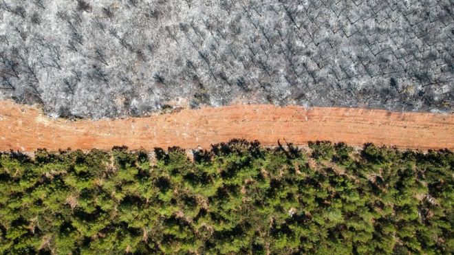 Incendios en Turquía.