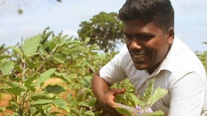 Farmer