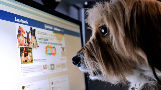 Facebook