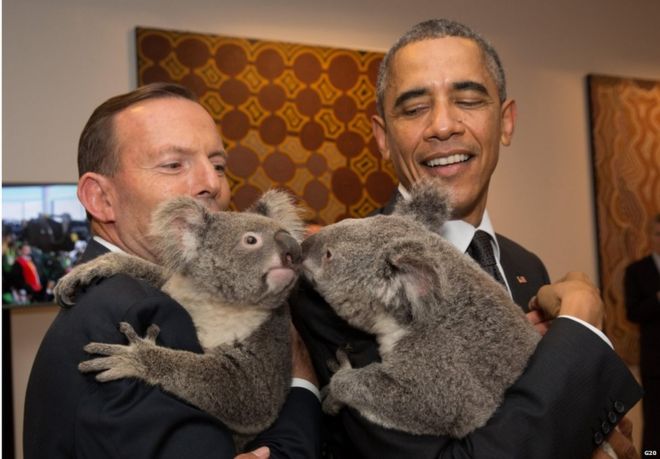 Image result for Tony Abbott barack obama