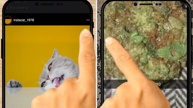 Ekran telefona sa raѕličitim slikama - mačka i droga
