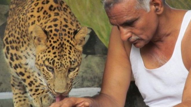 Prakash Amte with a leopard