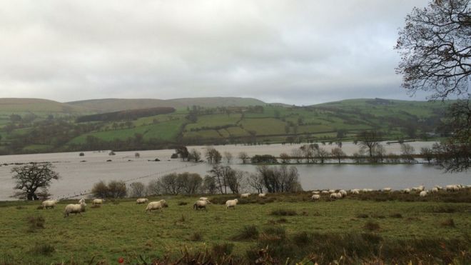 Затопленные поля в Llanuwchllyn, Бала