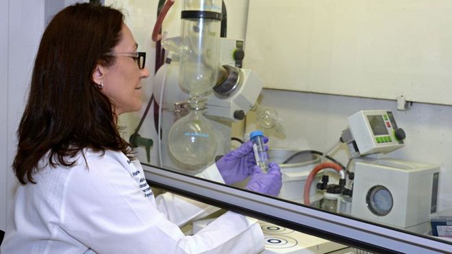 María Elena Bottazzi trabaja actualmente en el desarrollo de una nueva vacuna contra la pandemia de covid-19.