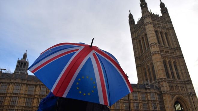 Brexit karşıtı eylemci
