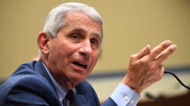 Dr Anthony Fauci testifying to Congress in July