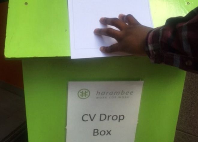 Коробка с резюме Харамби