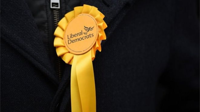 Lib Dem Rosette