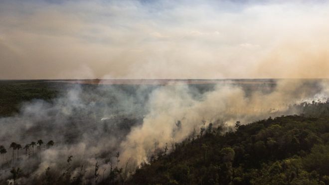 Пожар в бразильском Серрадо возле пахотных земель