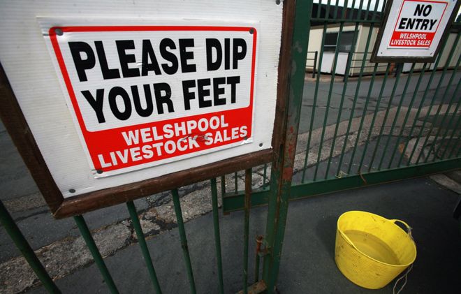 На фото 2007: знак призывает посетителей использовать ванночку для ног - которая использовалась с первой вспышки ящура в 2001 году