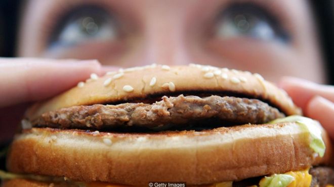 2017년 맥도날드는 스웨덴의 한 식품 회사와 채식 햄버거 패티를 개발했다