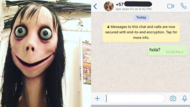 WhatsApp capture of Momo