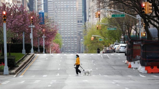 A woman, with a face mask, crosses a street with her dog on Park Avenue, remaining nearly empty due to coronavirus