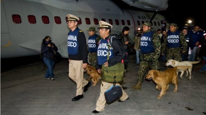 Члены военно-морского флота Мексики вместе со служебными собаками готовятся вылететь из Мехико в Гаити 13 января 2010 года. Спасатели, служебные собаки, снаряжение и предметы снабжения направляются в Гаити в 2010 году
