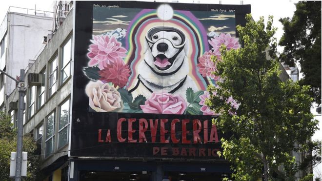 Вид большой настенной краски (R) в честь Фриды, спасательной собаки мексиканского флота в Мехико 10 октября 201 года