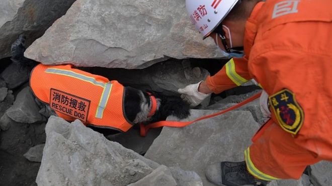 Спасательная собака помогает в Синьмо, Сычуань, во время оползня в июне 2017 года