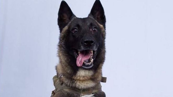 Afisa wa jeshi maalum aliyesaidoia kuuawa kwa Abu bakr al-Baghdadi