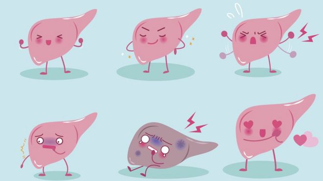 Seis ilustrações mostram o fígado animado en diversos estados: sorrindo, triste, com raiva...