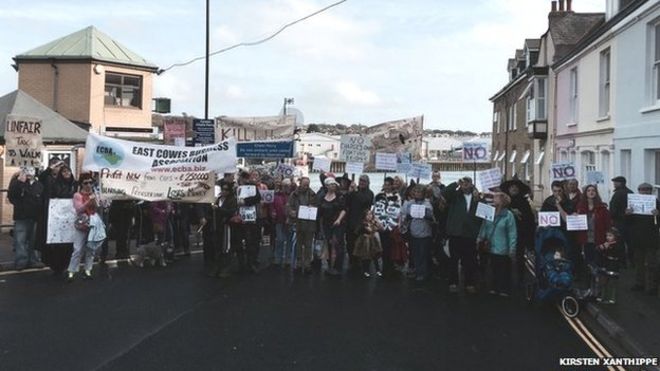 Протест на паромной переправе в Каусе