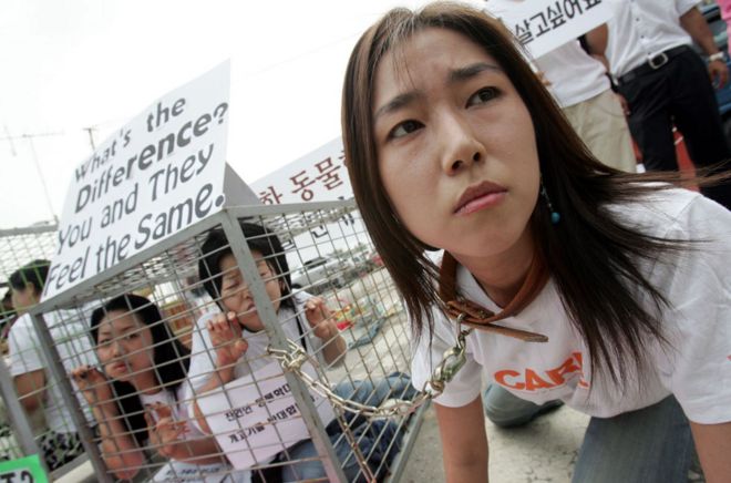 Члены группы «Сосуществование прав животных на Земле» сидят в клетке во время кампании против употребления в пищу собачьего мяса южнокорейцами на рынке собачьего мяса в Сунгнам в 2007 году