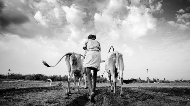 லோகேஷ் பாபு