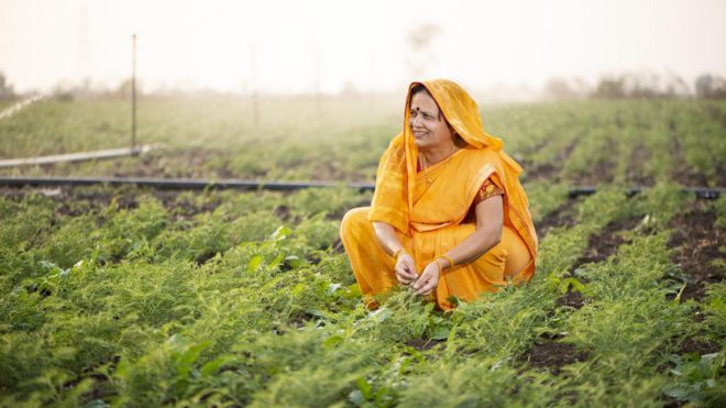 प्रातिनिधिक फोटो