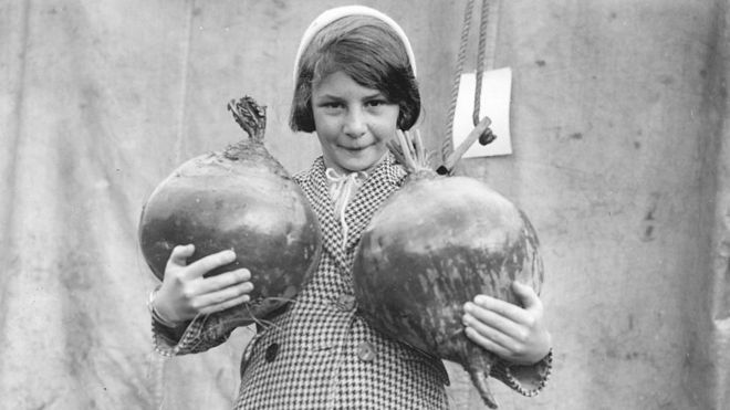 Молодая девушка держит мангольды, выращенные в Корнуолле в 1930-е гг.