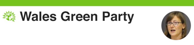 Партия зеленых Уэльса