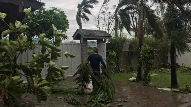 Кармело Ласам убирает свой сад на следующее утро после тайфуна Мангхут