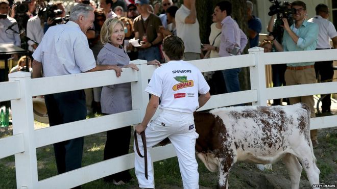 Кандидат в президенты от Демократической партии Хиллари Клинтон приветствует одного из участников соревнования по разведению крупного рогатого скота во время кампании на Ярмарке штата Айова