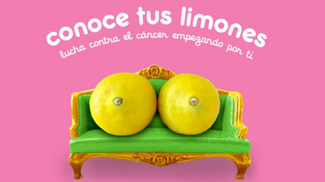 Imagen de la campaña "Conoce tus limones"