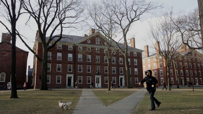 Гарвардский кампус в Кембридже, штат Массачусетс