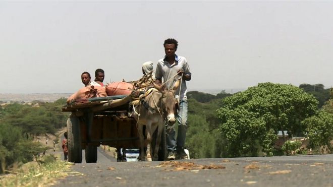 Группа мужчин с ослом в Эфиопии