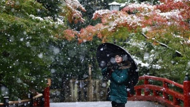 A visitor takes a photo in the snow at the Tsurugaoka Hachimangu Shrine in Kamakura, near Tokyo