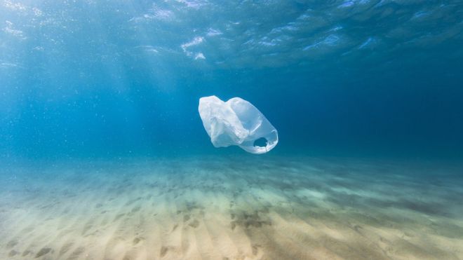 A plastic bag floating in the sea