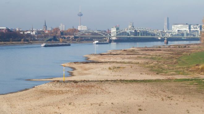 Низкий уровень воды на Рейне