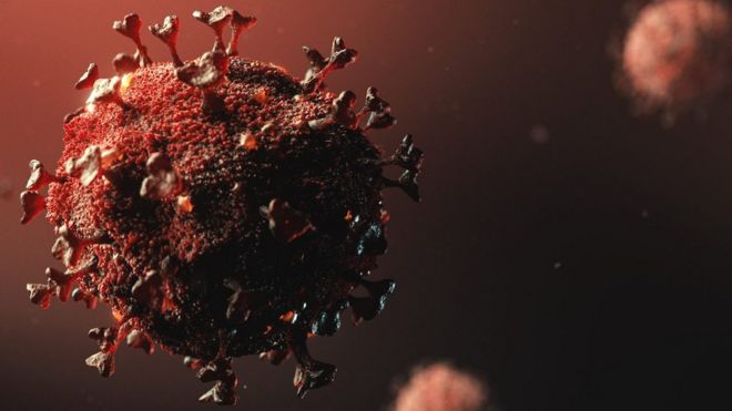 coronavirus up close