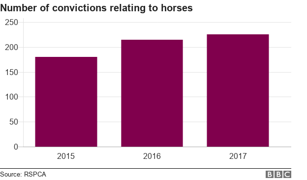 Диаграмма, показывающая количество обвинительных приговоров в отношении лошадей