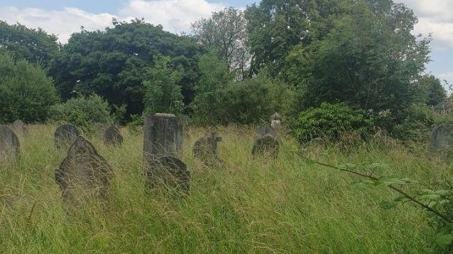 Long grass around gravestones